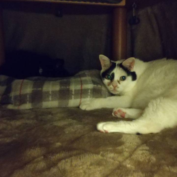 B9e8116b 615b 4ff6 b4ad 63a9f9f58f8d 1643460218634