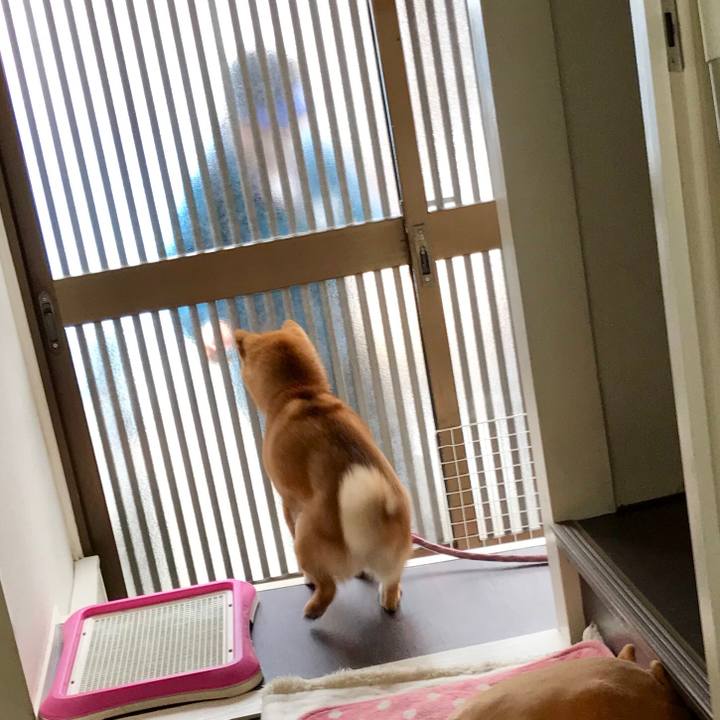 B9e83345 1528 45d7 8acc 5d68b56650cd 1523939619794