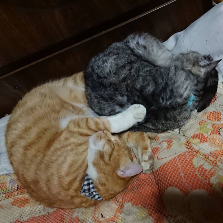 B9e86bc0 5d25 4e33 8e8c ae438fdc9194 1573047015257