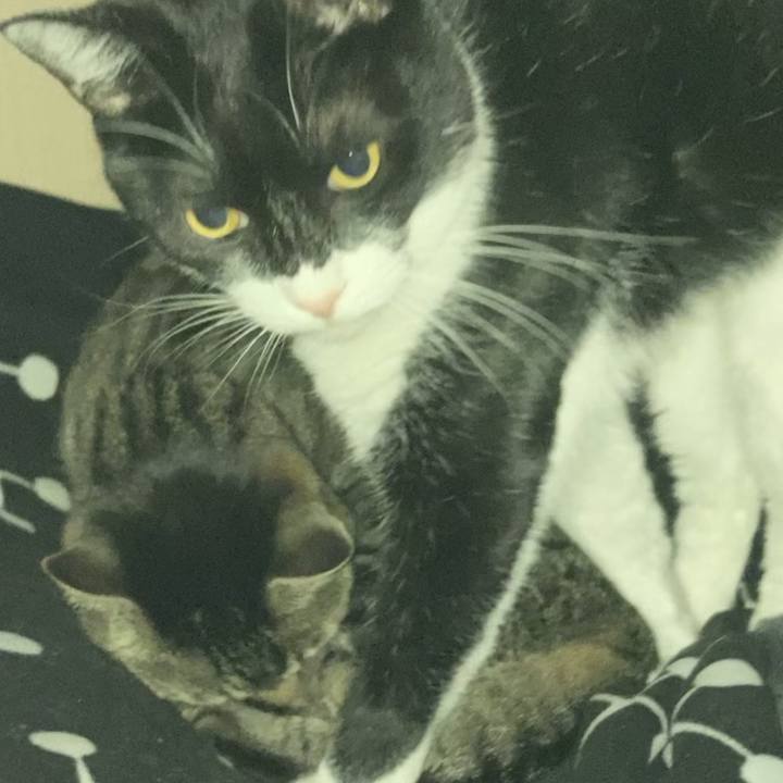 B9e87955 4034 4792 8149 53fc1831ea45 1612930436310