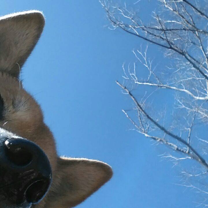 B9e8a395 98ba 4b76 9fa7 8f7b14da59c9 1514422728241