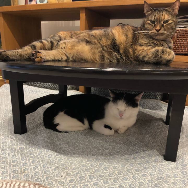 B9e8df37 ea04 433d 8729 0d9940f6cfd0 1583043358583