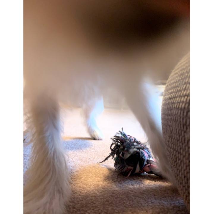 B9e8ed4f 5d21 4e2e a9c9 614ac4c9510d 1578463957760