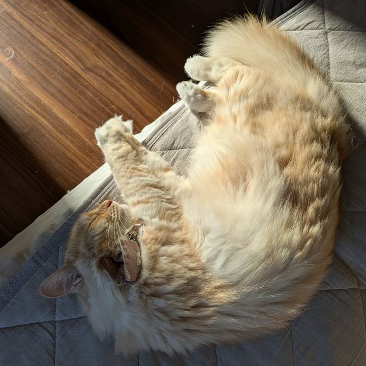 B9e8f902 9fe1 416d 8671 bfc45943452d 1726616835412