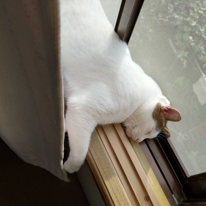 B9e9444d a178 4081 a022 2b23f13d48cb 1756624060373