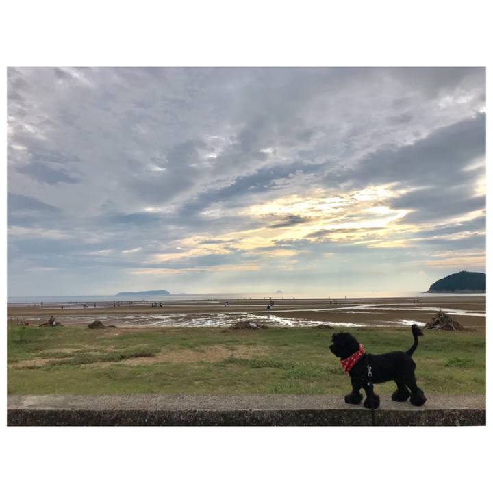 B9e968a2 fcca 4bf1 ba3e 37dbb3dd1758 1567177195746