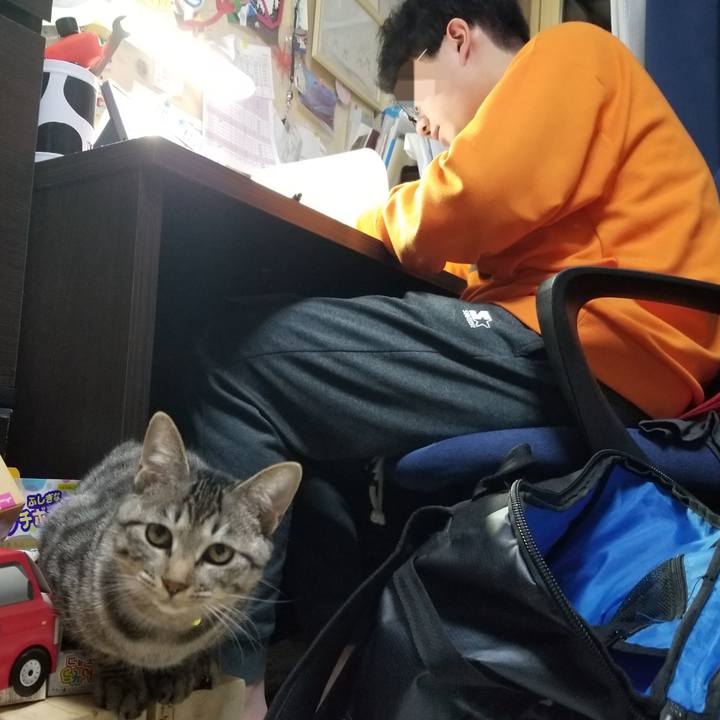 B9e99226 6b6e 4e89 b62b 6fb79ac84bef 1673690840177