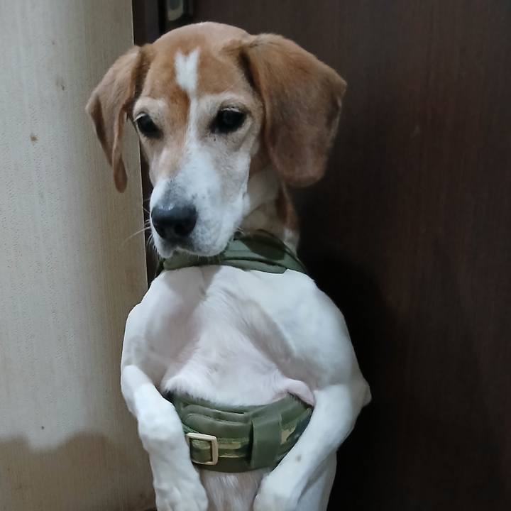 B9e9def5 56f7 4960 a09d d1c504adb9e5 1768906759865