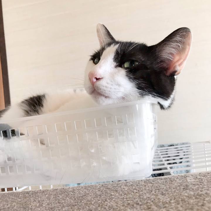 B9e9f98d 8bba 4ff5 9a9a 6469b08fc87a 1537237275579