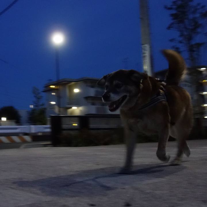 B9ea4232 eb22 4ab9 a9a4 99ad8ebc88d7 1557314042026