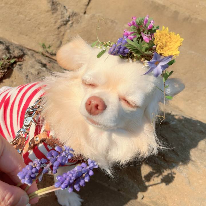 B9ea4f38 1ad3 4fa9 81e7 64052e353b58 1711100479475