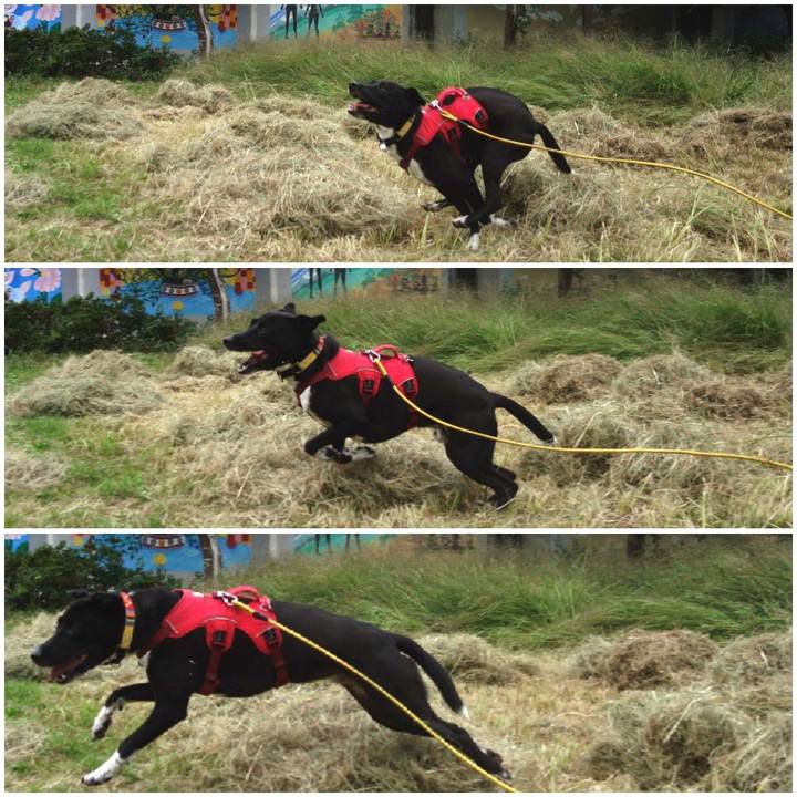 B9ea9492 9a7e 440e ad15 d414020a713e 1602718972585