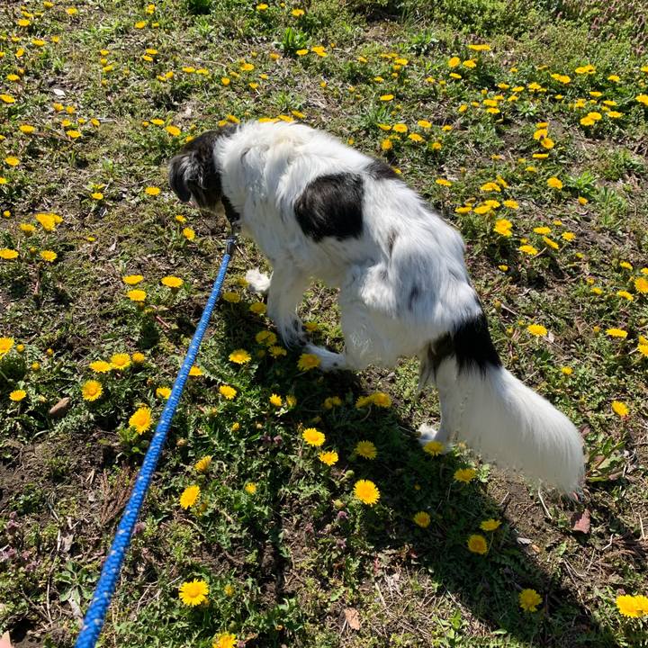 B9eaa15b 8065 4ac1 9a74 538e4e87028b 1680586799457