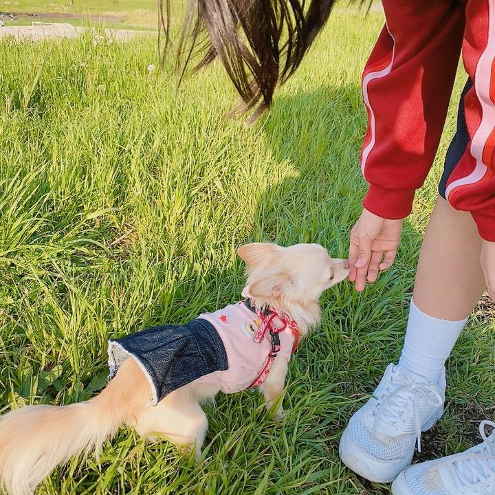 B9eacabf 4791 4c8f b6b8 9e93a308cf5d 1619775072127