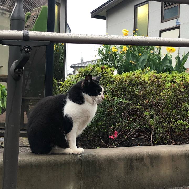 B9ead173 6c3e 4b8b a7c9 541c1ed4d254 1562344404905