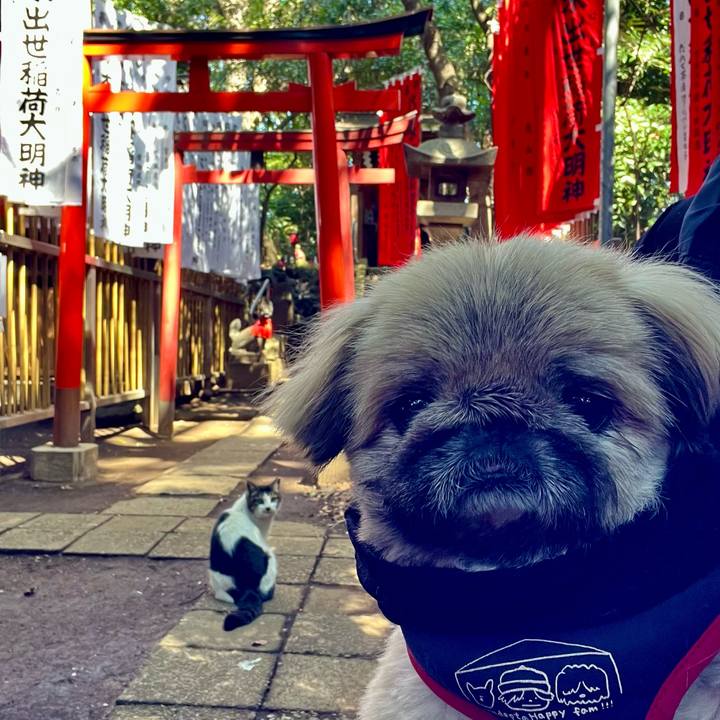 B9eaebd9 7145 4baf 9318 158d9b643c8c 1742527804839