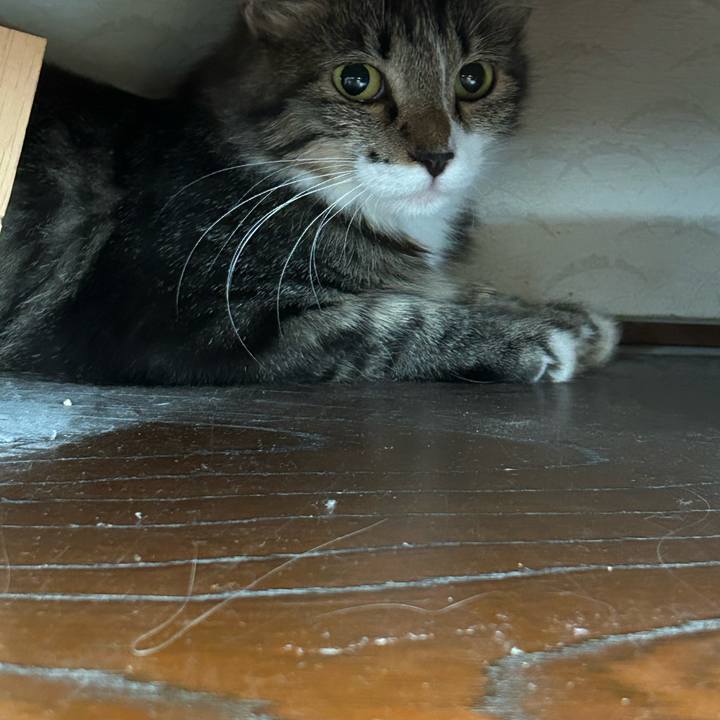 B9eb1225 92ad 4e08 b6df b7c3b688d93d 1726554973447