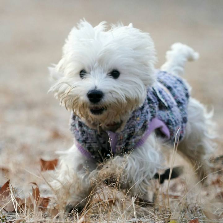 B9eb197c efac 4ece 8b26 0f36c6c4fb18 1513866819521