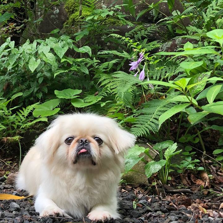 B9eb4b7a 7bd8 44ec 97e3 72044784d0de 1533991368928