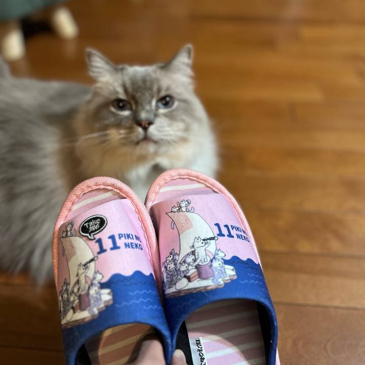 B9eb6451 69e3 497f 966a 56c70b0d23b0 1665058391648