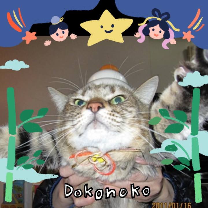 B9eb7993 37f2 4cd2 8f95 42ab7eb8ffe1 1720919873102