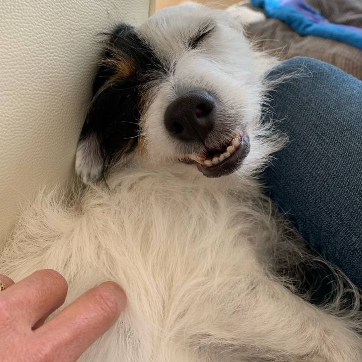 B9eb8560 c7cf 4f79 bc45 14ccb4cfe520 1584421903557