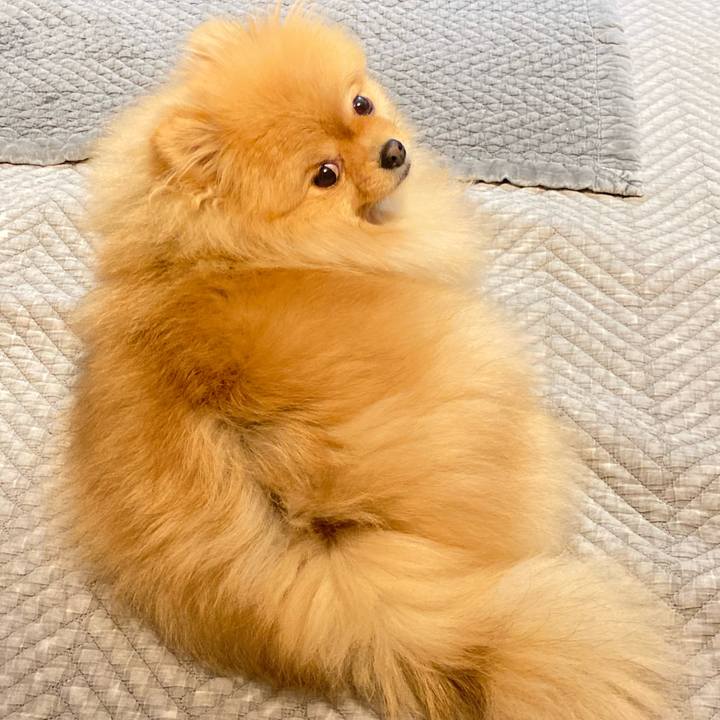 B9eb9340 3748 43b9 9acf 8986ba1edef6 1771672252451