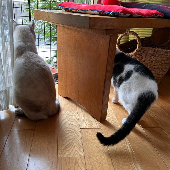 B9ebb3f0 d62a 44a6 8a58 363419365e10 1750239570789