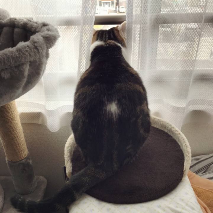 B9ec00f1 b74d 4628 8370 67d9d9718cfe 1574581838155