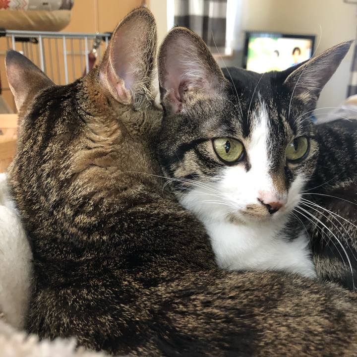 B9ec0b61 1e3f 49f4 a77c e41f73245131 1560544924346