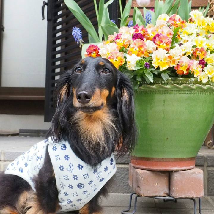 B9ec9dd1 64e7 4236 8586 3227008351c4 1523319106281