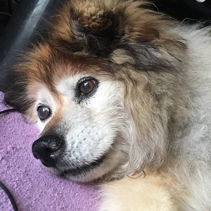 B9eccf84 9e85 47ef a14f a061bf437691 1620020288812