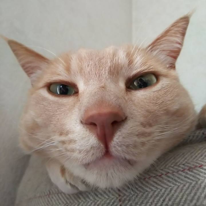 B9ece86e 4f92 4aff a253 a20e60cc01eb 1675519795570