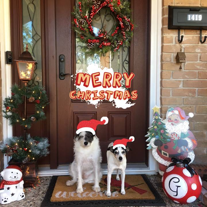 B9ed3d51 1dc2 4a6d b8bf 375b305e0e97 1545610427582