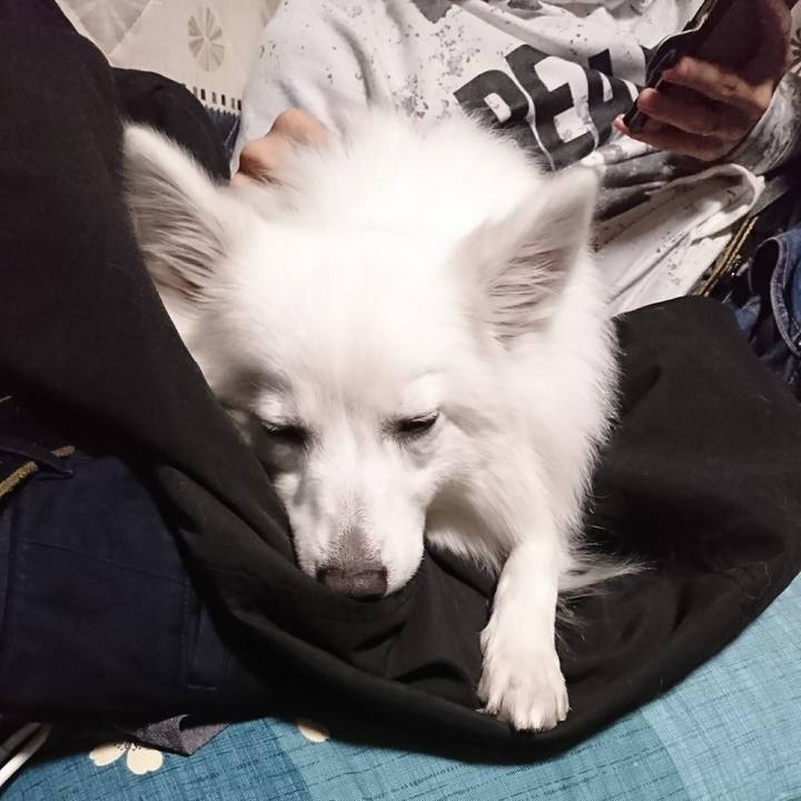 B9ed9b5a 2918 4988 9494 9efc8359d254 1517744207862