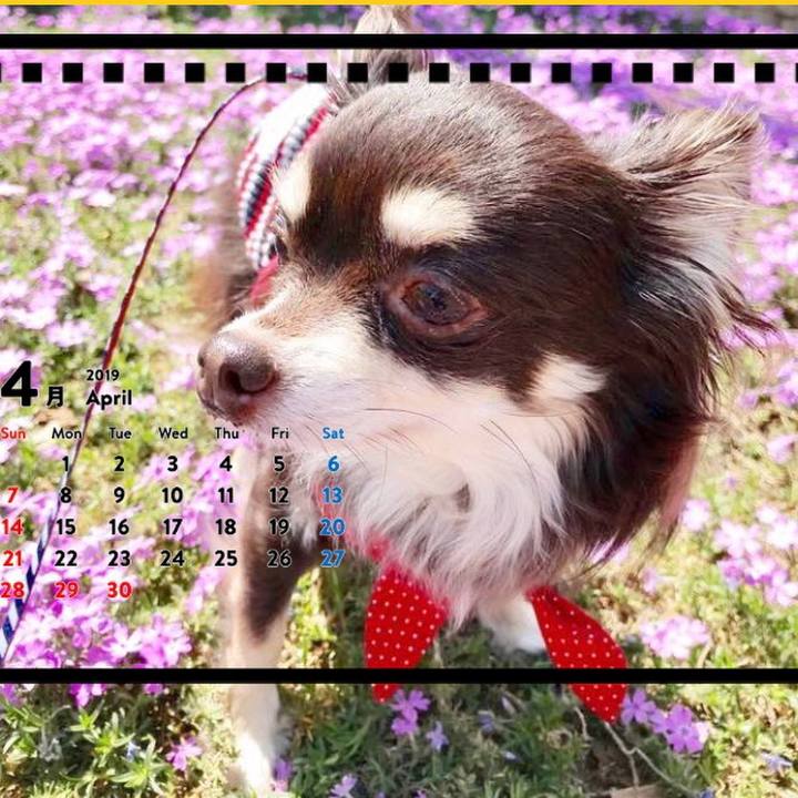 B9eda574 b823 4100 bf78 641a8cae4771 1549434139471