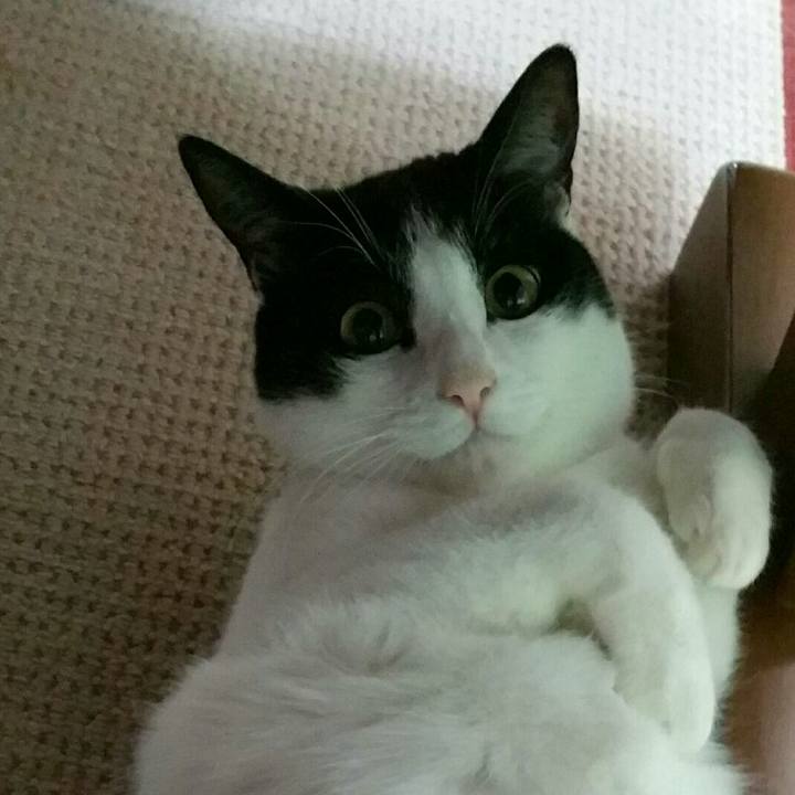 B9edc29f 9957 44d3 9f10 128a61ed18be 1513643413449