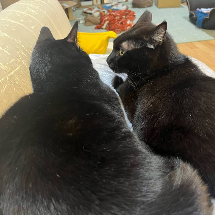 B9edc754 5302 4c67 a91d 5336cede0cf9 1705412616650