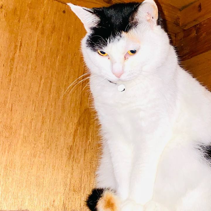 B9edd6f6 17ff 4437 913c 210f509575ef 1680733446268