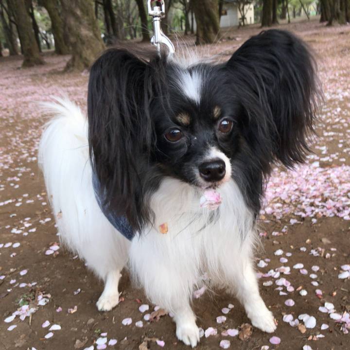 B9ede4e7 4016 4f23 bbe1 0d3fc1eab35d 1522850583169