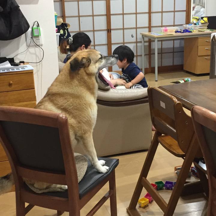 B9eded7a 49cd 4107 8d5d 67a6ed4bfc85 1528171318497