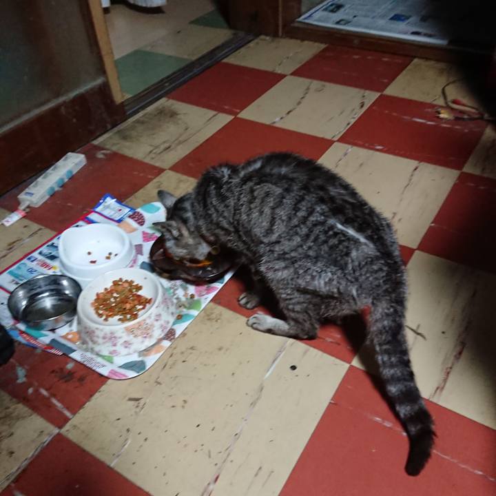 B9edf50b e051 4cb3 9568 e11a61c5951e 1594669782845