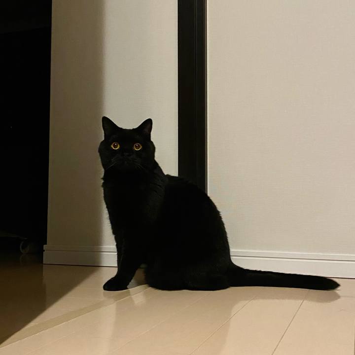 B9ee0a87 eaf1 4096 8b94 27cb7c8ac15e 1655212209903