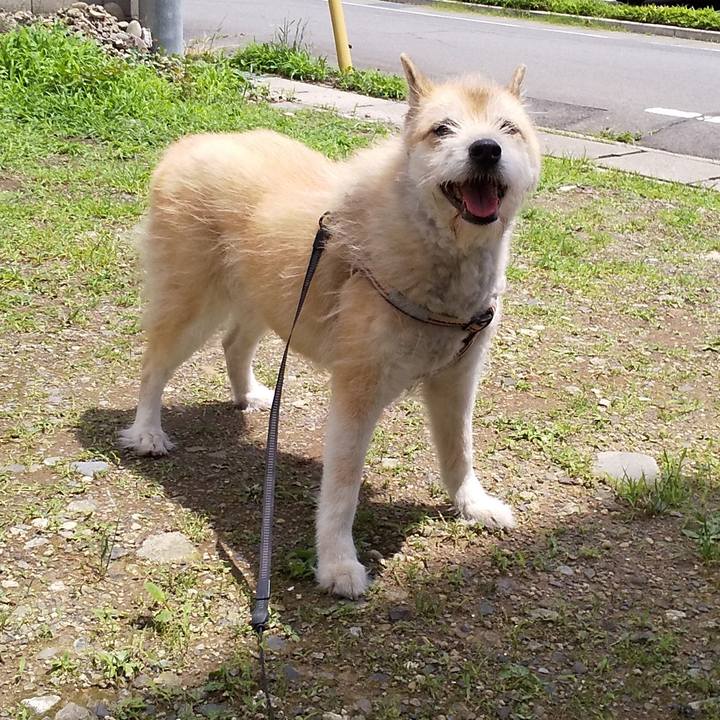 B9ee3304 145a 4a88 9316 2add3fb0aaf1 1593513583216