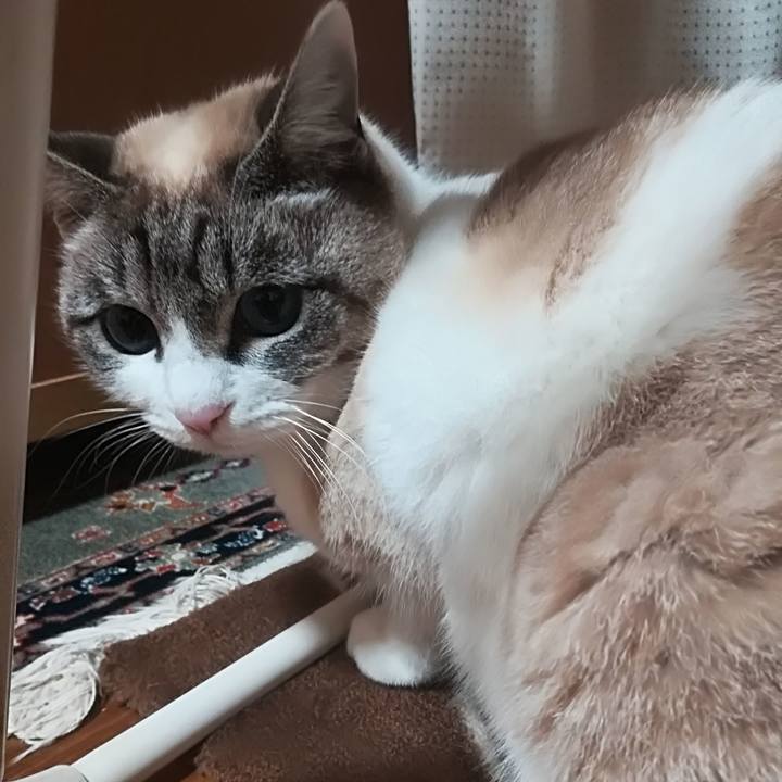 B9ee3742 dd5f 464d 9408 22cad295d9ff 1516016458258