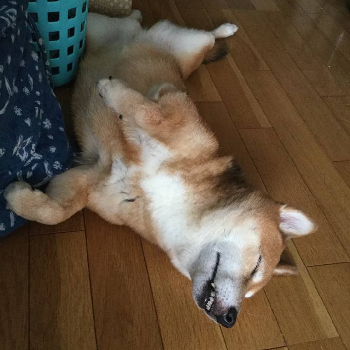 B9ee3b2e 8436 42e0 a992 96f7dfb011a0 1565429699043