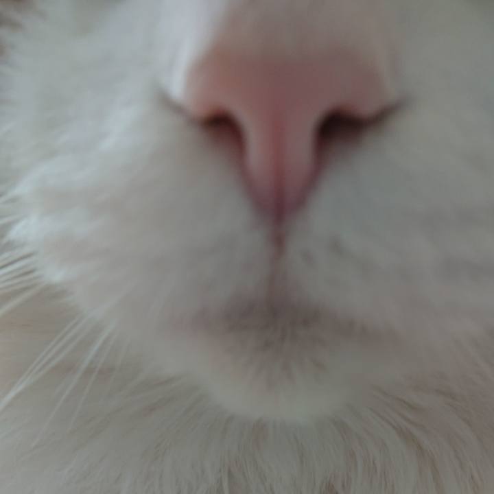 B9eecdb0 8a42 4164 87aa 14d725f4e7c7 1521855876622