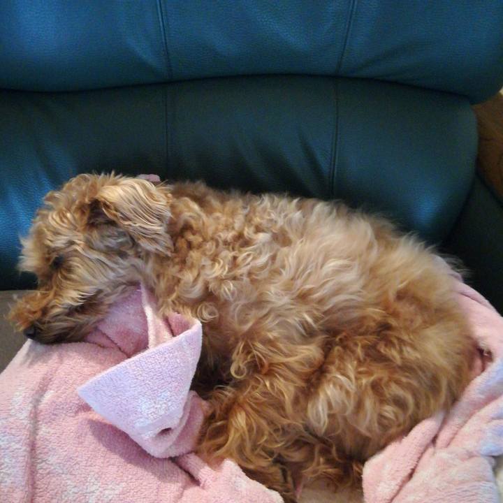 B9eee8cd 81a6 43c0 9689 f5fc02cae22d 1527376645385