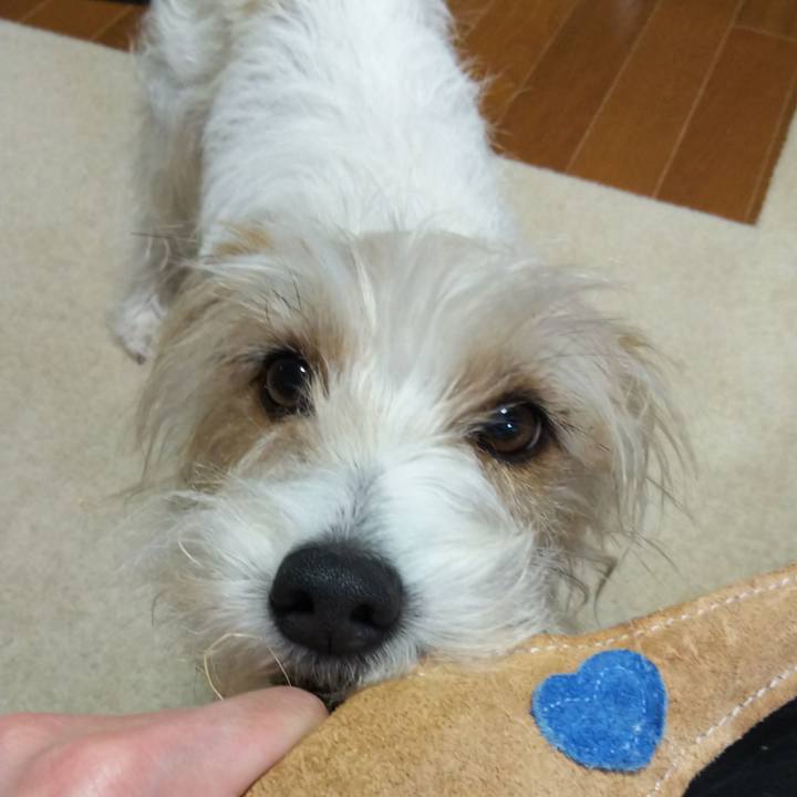 B9ef07d1 922c 4fd0 9778 3c8625509ae1 1523455204734