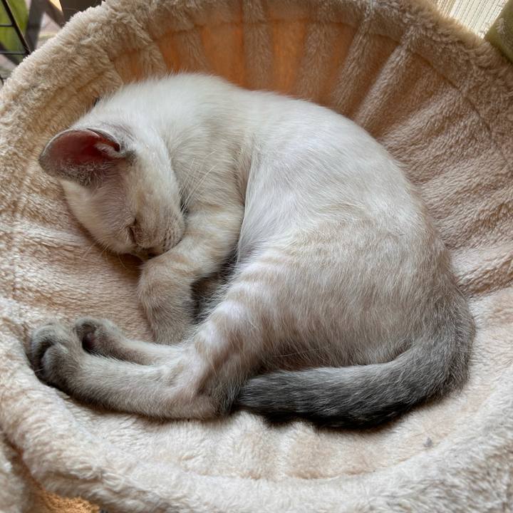 B9ef103c 3bf7 403e a4a5 3dc7ec5e25ac 1722294401539